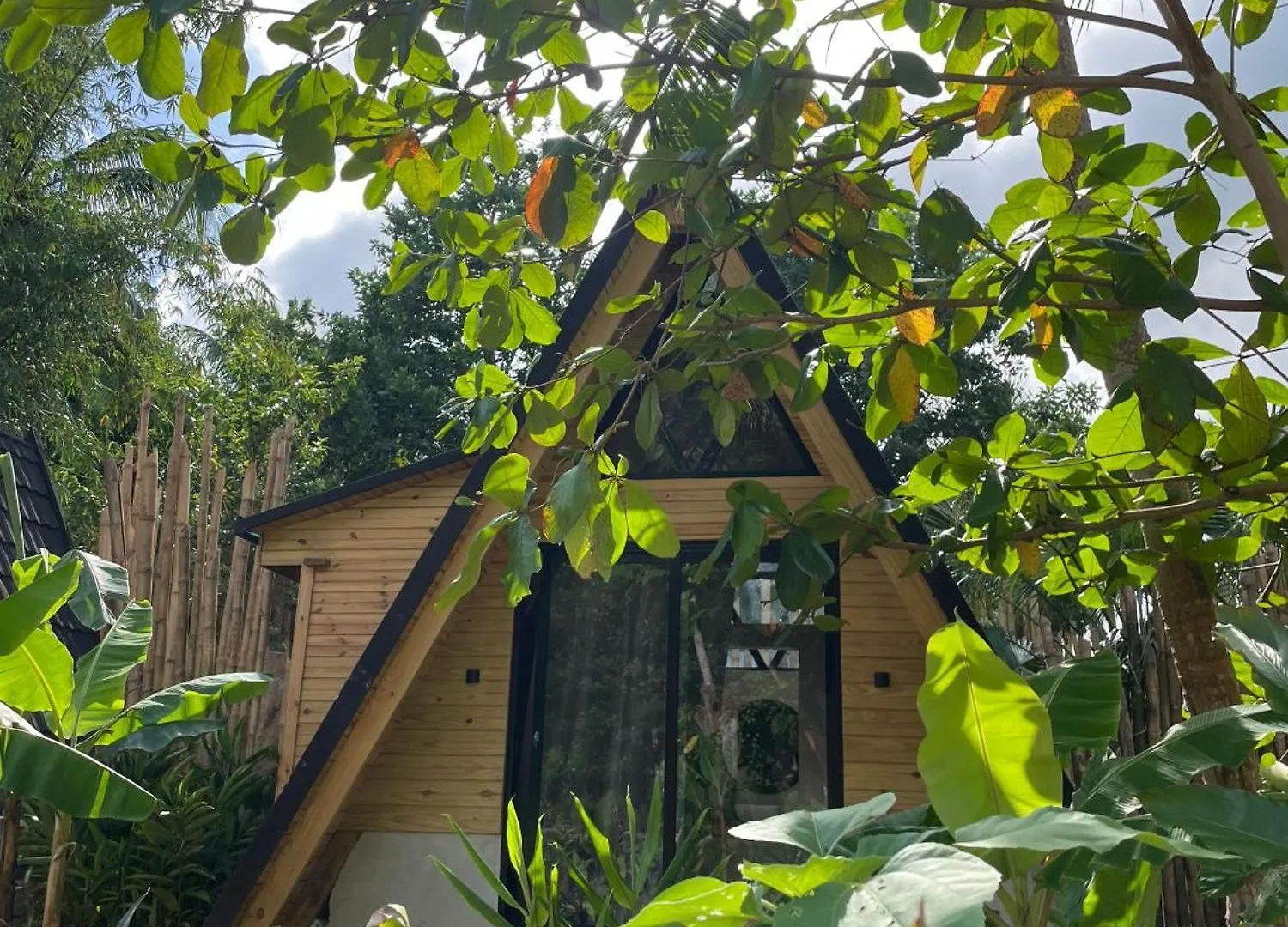 Leisy'S Garden Tiny Cabins El Valle Dominican Republic