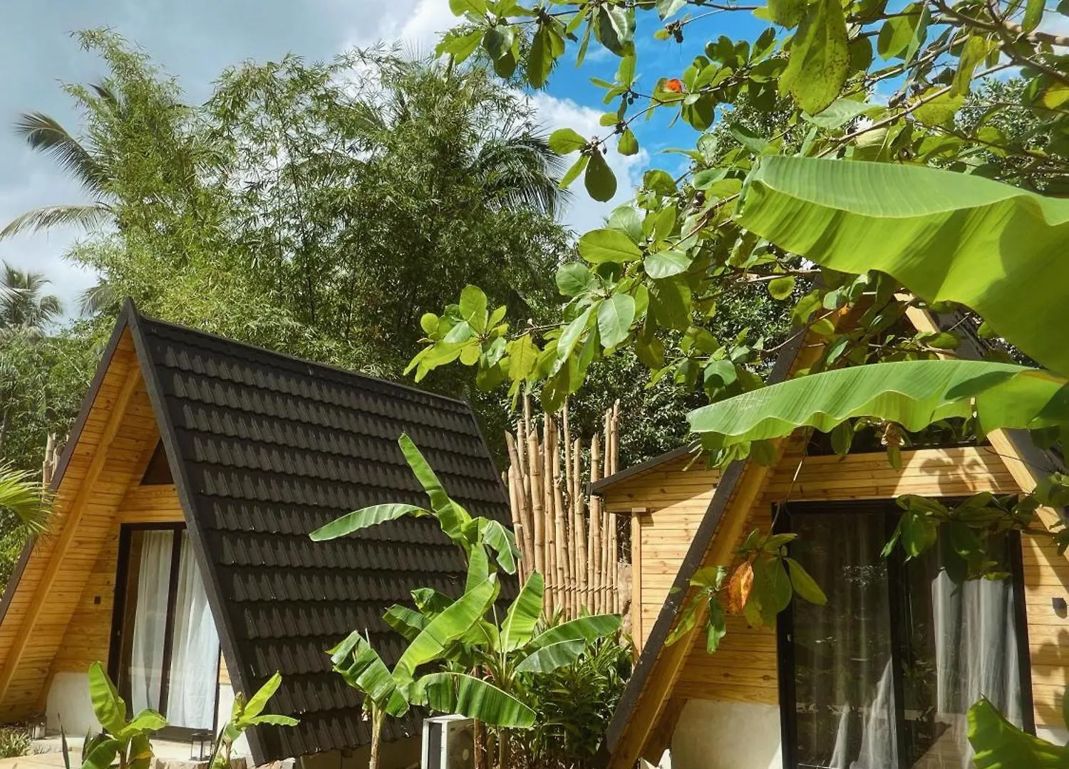 Leisy'S Garden Tiny Cabins El Valle