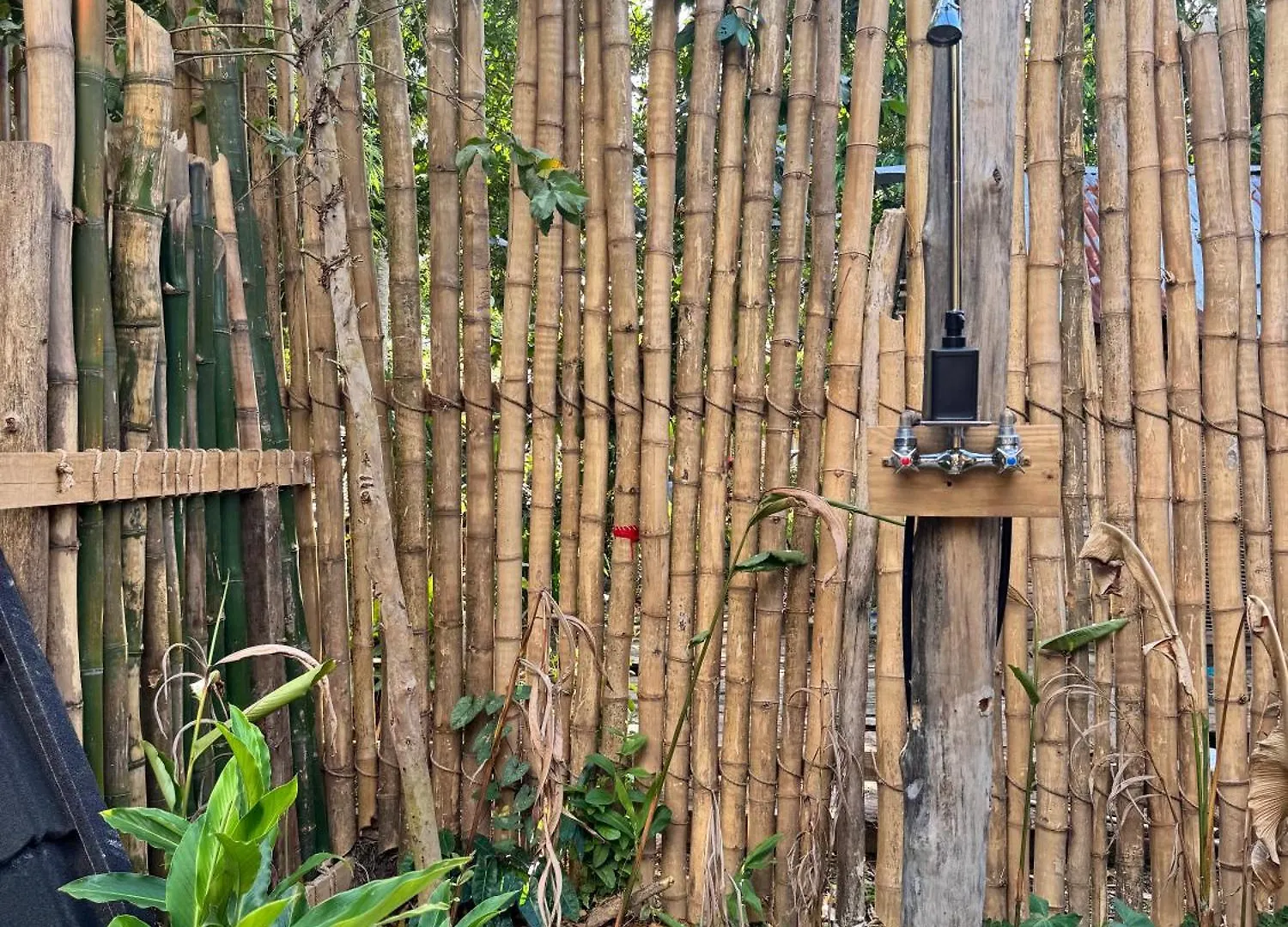 Leisy'S Garden Tiny Cabins El Valle Dominican Republic