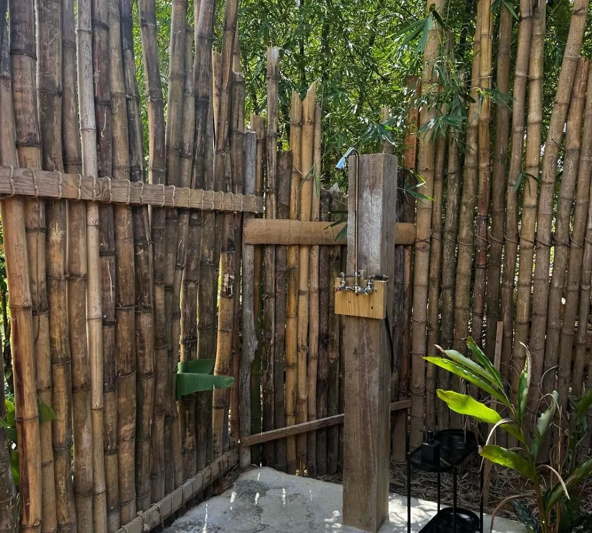 Leisy'S Garden Tiny Cabins El Valle